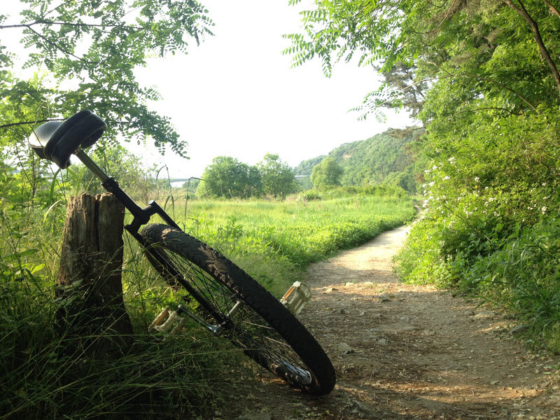 Comment choisir un monocycle sur internet ?